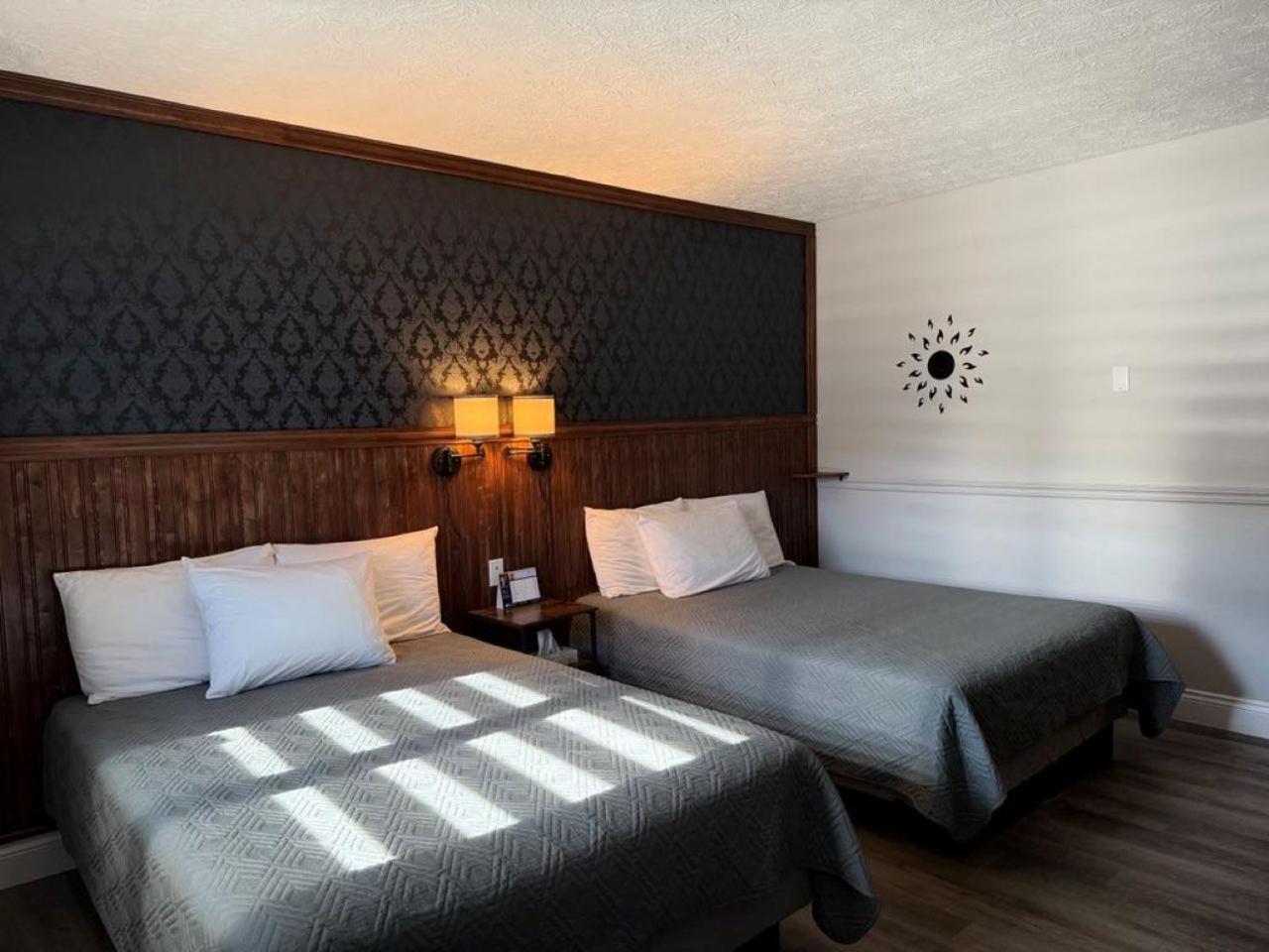 Auberge Micky Inc 埃德门兹顿 外观 照片