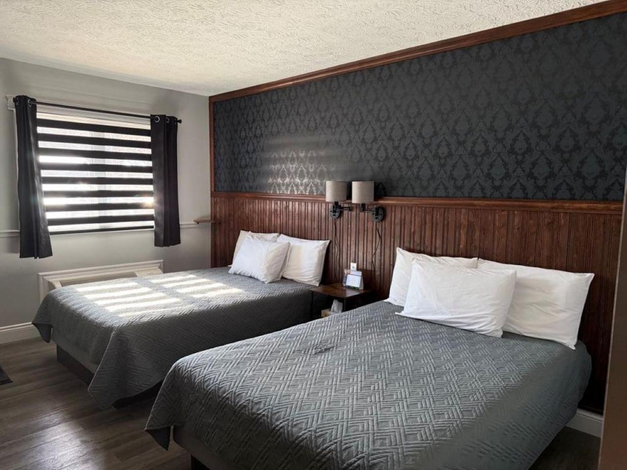 Auberge Micky Inc 埃德门兹顿 外观 照片