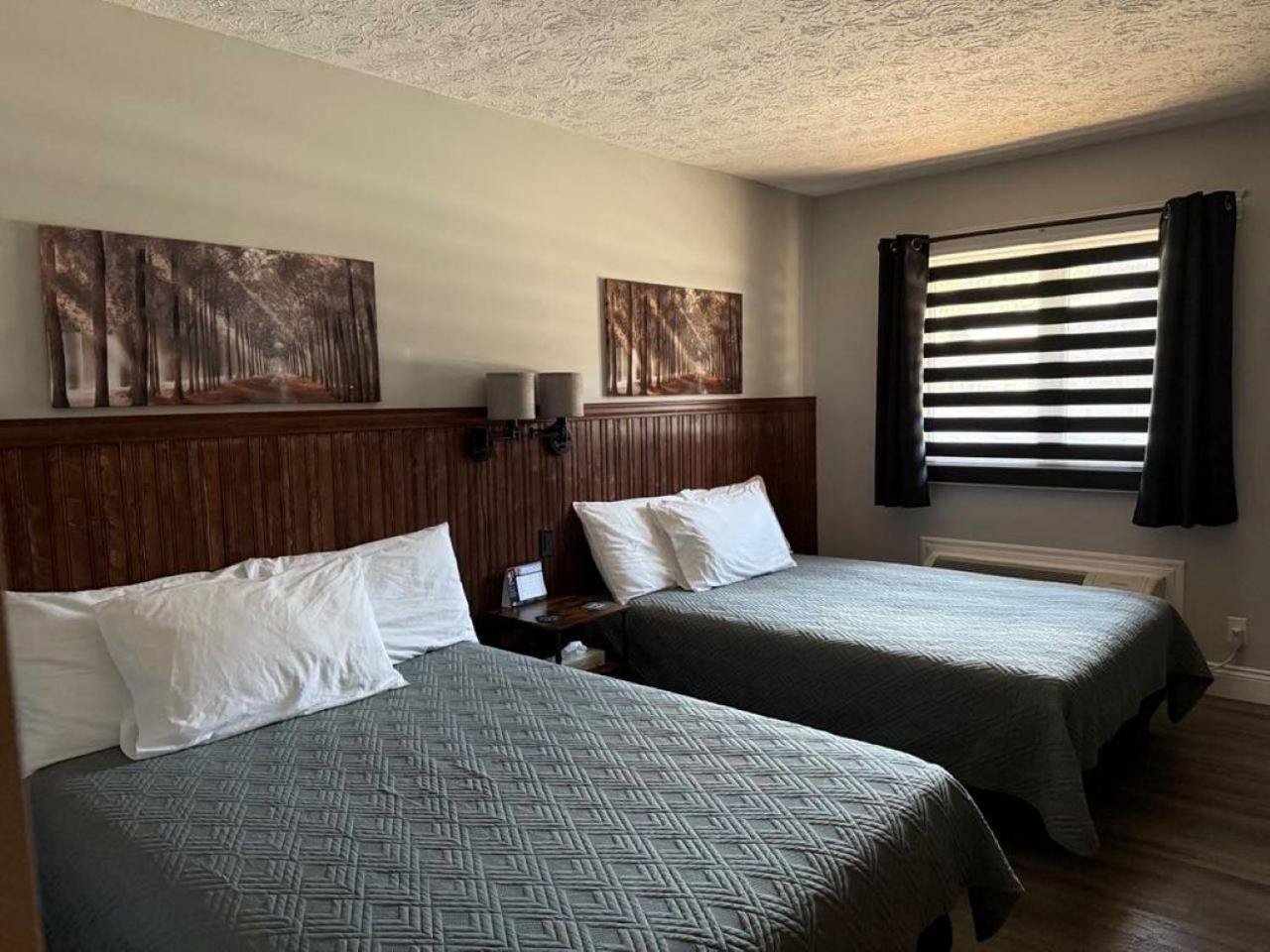 Auberge Micky Inc 埃德门兹顿 外观 照片